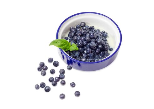 Dessert made of the fresh blueberries and sweetened condensed milk in blue bowl decorated with basil twig and separately several berries beside on a white background
