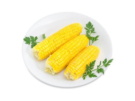 Three boiled whole ears of sweet corn decorated with parsley twigs on a white dish on a white background
