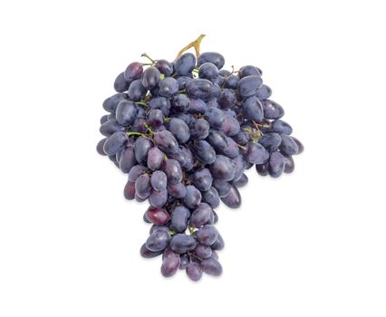 Cluster of the ripe dark blue table grapes on a white background
