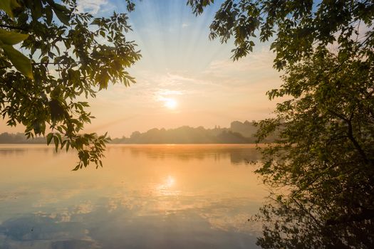 Sun and sky with clouds reflected in water of the pond, on a shores of which grow trees at sunrise  
