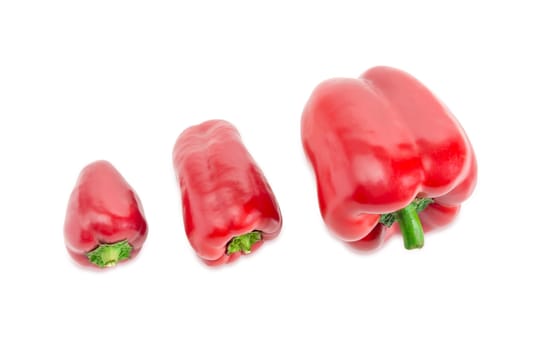 Three fresh red bell peppers different sizes on a white background closeup

