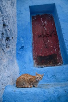 Chefchaouen, the blue city in the Morocco is a popular travel destination