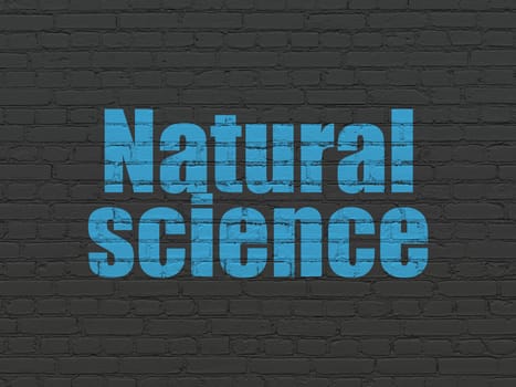 Science concept: Painted blue text Natural Science on Black Brick wall background