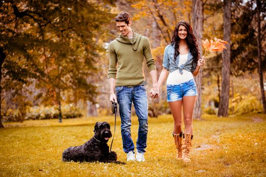 Beautiful lovely couple with a black giant schnauzer, enjoying and walking in the park in autumn colors.