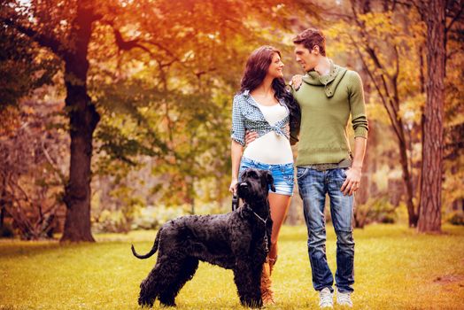 Beautiful lovely couple with a dog, a black giant schnauzer, enjoying and walking in the park in autumn colors.