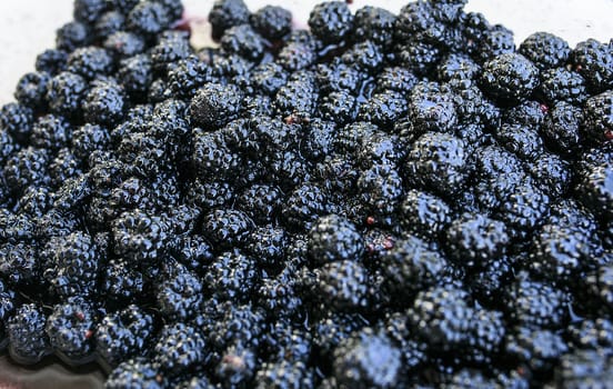 Black berries ready to make a pie