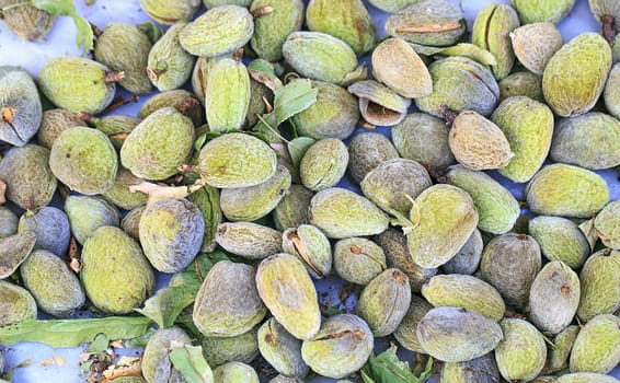 Group of almonds with its skin