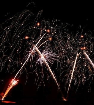 Real Isolated Fireworks, Coconut Trees Forest Pattern