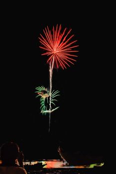 Real Fireworks, Flowers Pattern with person and reflection on the foreground