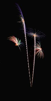 Real Fireworks, Flowers or Coconut Trees Pattern