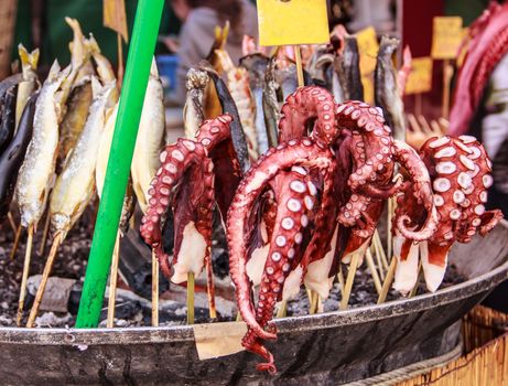 Traditional barbecued octopus tentacle , grilled with coal, on the stick