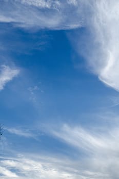 blue sky have cloud in winter season ,thai land ,have feeling happy