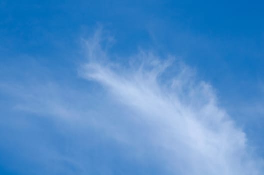 blue sky have cloud in winter season ,thai land ,have feeling happy , and sihouette style
