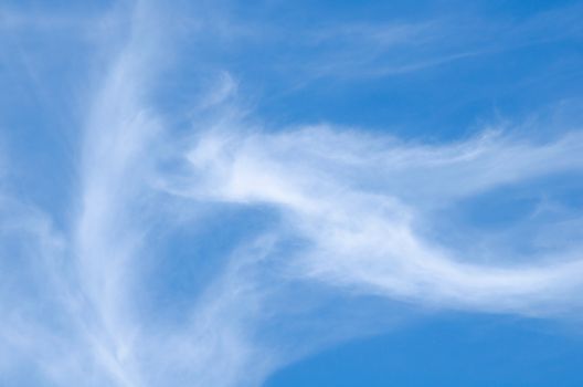 blue sky have cloud in winter season ,thai land ,have feeling happy , and sihouette style
