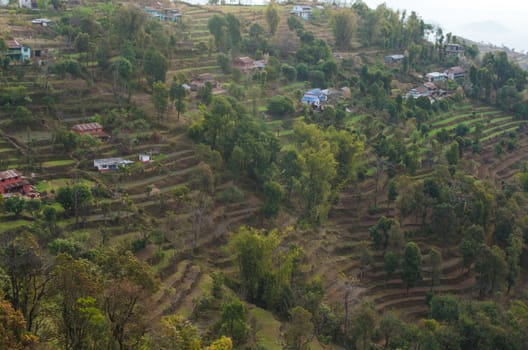 perfect view point , is have tree , village, stream , fresh air for people ,beautiful forest and blue sky