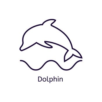  dolphin icon on a white background. Thin line icon for web site, visit card, poster, banner etc.