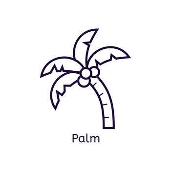  Palm icon on a white background. Thin line icon for web site, visit card, poster, banner etc.