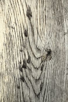 details on wood plank, texture for your design