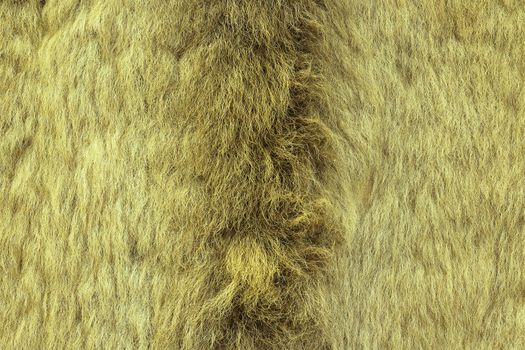 european lynx textured fur, real pelt from hunted animal