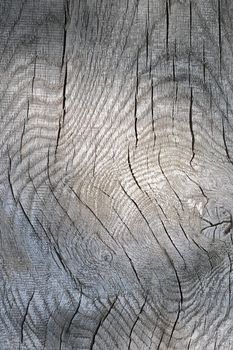 interesting texture of wood plank surface, ready for your design