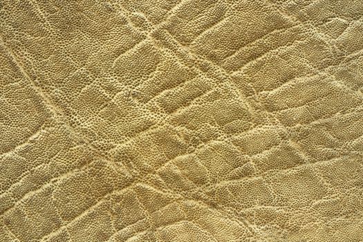 interesting textured elephant skin, pattern of real leather for your design