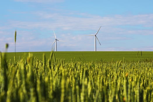 landscape with windmills for green electric power, image taken in agricultural area 