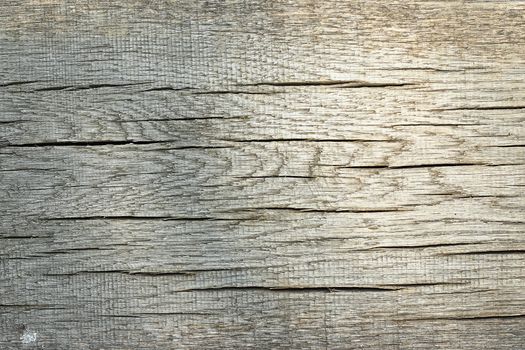 texture of cracked wood plank, spruce wooden board ( Picea abies )