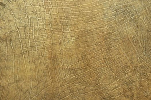 real texture of african elephant leather, natural pattern for your design