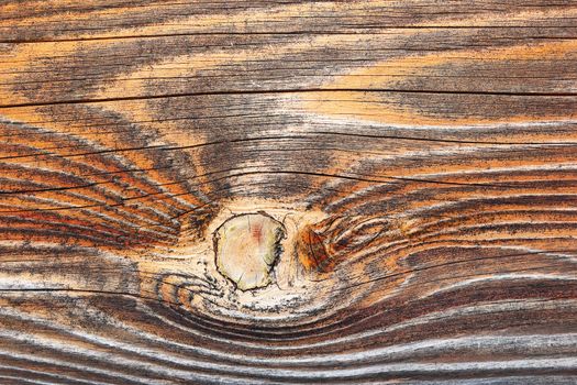 fir wood texture detail, natural real pattern for your rural architectural design
