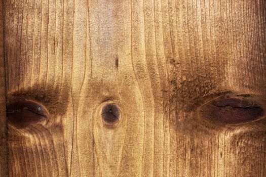 fir wood texture with knots, wooden plank closeup ready for your design