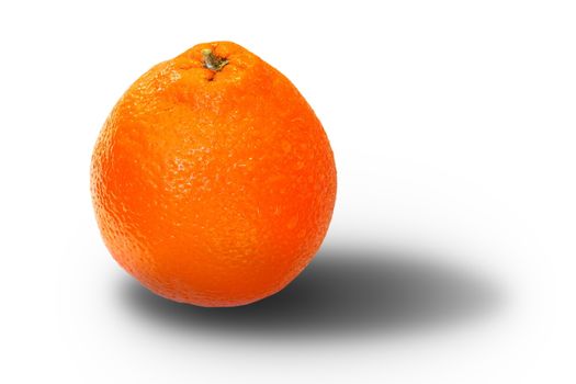 fresh orange fruit over white with shadow
