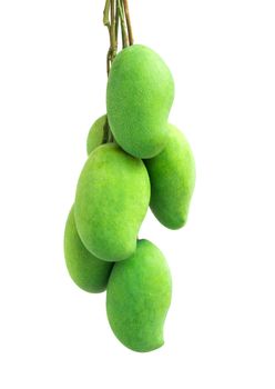 Bunch of green mango on white background