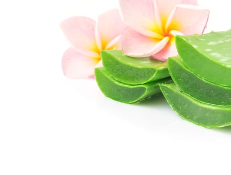 Closeup fresh aloe vera slice with plumeria on white background, beauty and healthy care concept