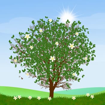 illustration of tree in summer