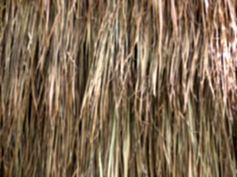 Dried Leaf blur focus Texture, haystack roof.