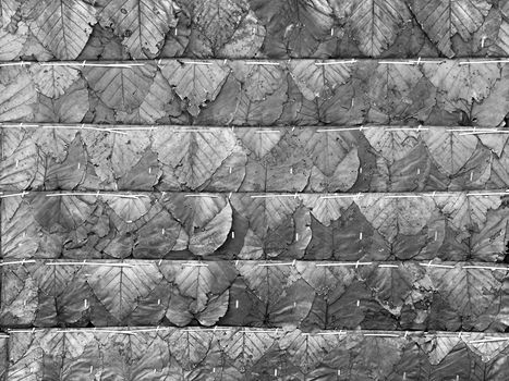 Dried Leaf Texture, haystack roof. Light and shadow.