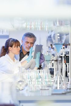 Health care researchers working in life scientific laboratory. Young female research scientist and senior male supervisor looking focused at tablet computer screen evaluating and analyzing study data.