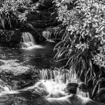 Naturally beautiful Twin Falls at Springbrook in Queensland.