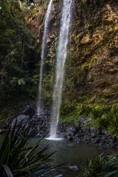 Naturally beautiful Twin Falls at Springbrook in Queensland.