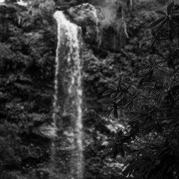 Naturally beautiful Twin Falls at Springbrook in Queensland.