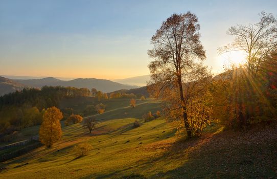 Colorful autumn landscape in romanian mountain 
