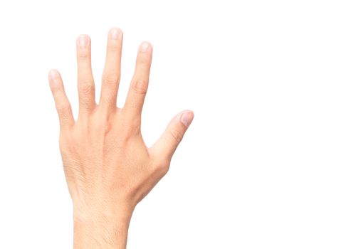 Man showing back hand and five finger count on white background