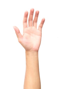 Hand palms on white background, health care and medical concept