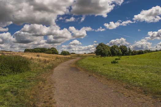 Landscape of a woodland area park with tall grass and trees with a wooden posts and rope fence along side a gravel walkway and a blue sky with fluffy white clouds in the background