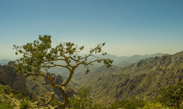 Al Hada Mountain in Taif City, Saudi Arabia with Beautiful View of Mountains