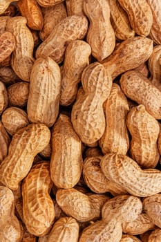 Peanuts in shell close up on the white background