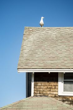 Roof from a New England home, Maine