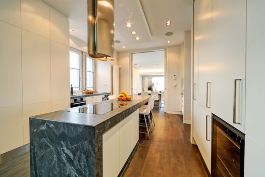 modern kitchen interior withl sink and appliances