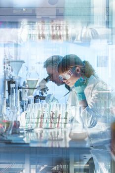 Health care researchers working in life science laboratory. Young female research scientist and senior male supervisor preparing and analyzing microscope slides in research lab.