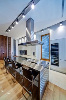 Modern kitchen interior with stainless steel sink and appliances